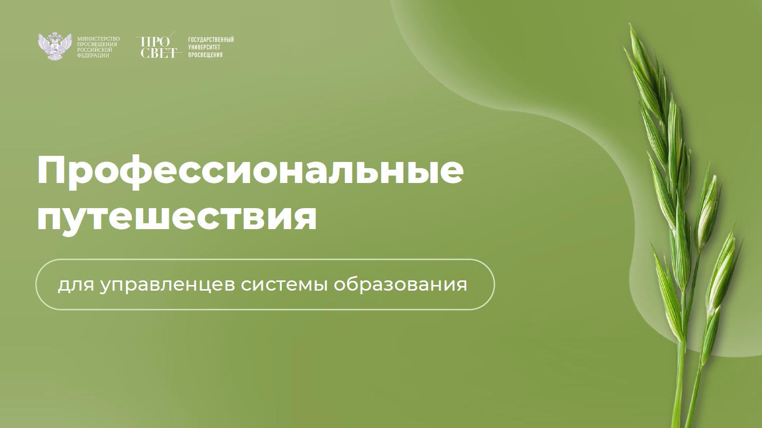 Открыта запись на выездные стажировки «Профессиональные путешествия» в 2026 году